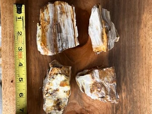 versteinertes Holz opalisiert Achatisiert 4 Stück Roh Dekor Sammlung Rot Weiß 1lb 10oz - Bild 1 von 9