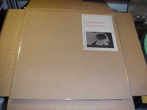 LP: BIG NATURALS & ANTHROPROPHH self titled s/t split NEW UNPLAYED PSYCH - Imagen 1 de 2