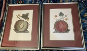 2–Antique George Brookshaw Melon(Red/Green)Prints Pomona Britannica Fruits GB - Picture 1 of 12