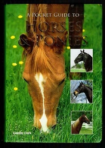 A Pocket Guide to Horses & Ponies by Corinne Clark - Picture 1 of 2