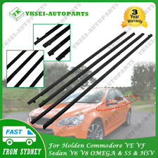Fit For Holden Commodore VE VF SEDAN V6 V8 Outer Door Weather Window Rubber Seal