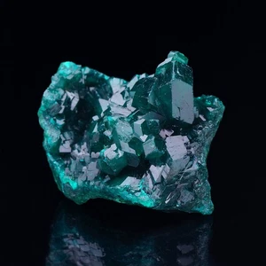 Dioptase crystals from Mindingi Mine - Congo - Picture 1 of 2