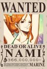 One Piece Wanted Anime Poster Printing Borderless In Gloss Satin Size A3