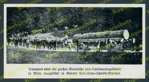 Steinbruch Adnet Transport Säule Marmor Parlamentsgebäude Wien Pferde Arbeiter - Bild 1 von 1