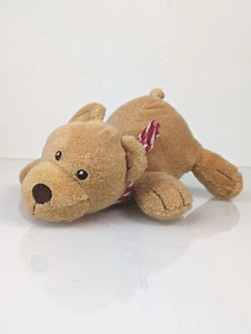 TCM Tchibo❤️ Teddy Bär mit Halstuch Frottee Badetier Plüschtier Halstuch - Bild 1 von 5