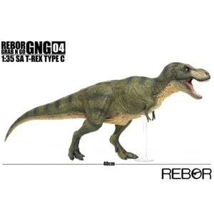 REBOR 1/35 Tyrannosaurus T-Rex Model Dinosaur Figure Decor Adult Kids Toys Gift - Imagen 1 de 19