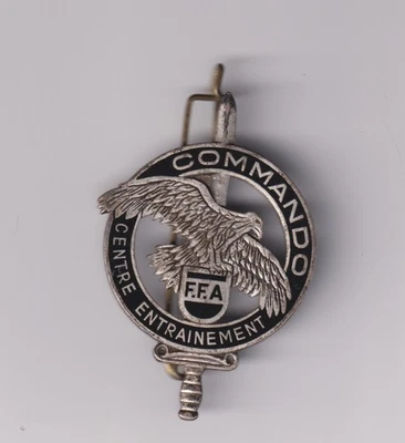 Escuela de Comando Francés Ejército Francia FFA Centro insignia metal Drago Foto 1 de 2