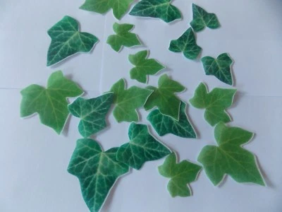 SHARONS EDIBLE BUTTERFLIES 18 PRECUT Edible paper Ivy Leaves cake/cupcake toppers