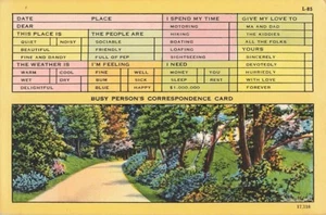 Postcard Forest Garden Path Busy Person's Correspondence Card - Picture 1 of 2