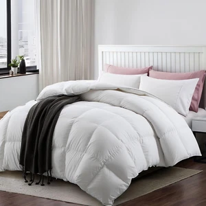 Feather down Comforter King Size, All-Season Fluffy Duvet Insert, Ultra-Soft Egy - Picture 1 of 9