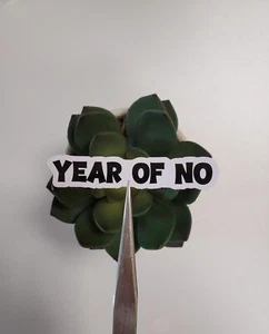Year of No Text Sticker | Glossy Vinyl - Picture 1 of 2