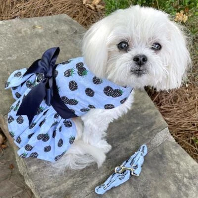 Doggie Design Blackberries Dog Dress with Matching Leash   XS-S-M-L-XL - Image 1 of 4