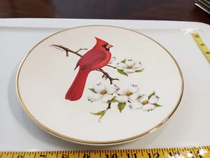 Avon collectors plate "cardinal" 1973 Avon - Picture 1 of 4