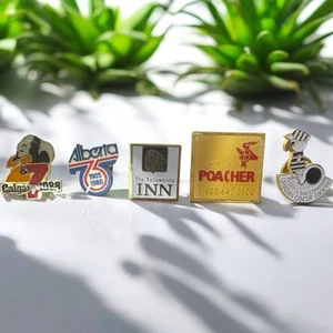 Vintage Canadian Alberta Calgary Pins Multicolor Lot Of 5 Small - Bild 1 von 7