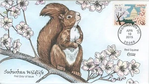 4983  DOGWOOD BLOSSOMS 2015 Collins Hand-Painted single FDC Red Squirrel Cachet - Picture 1 of 1