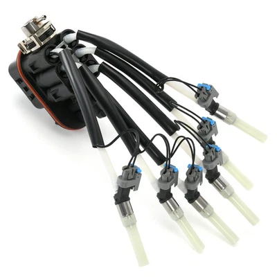 Inyector de combustible FJ503 Spider para Chevy Astro Blazer 1996-06 GMC Safari 4,3 L V6 GAS Foto 1 de 4