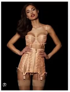 New Honey Birdette Shannon Suspender Waspie Skirt Size Small - Picture 1 of 8
