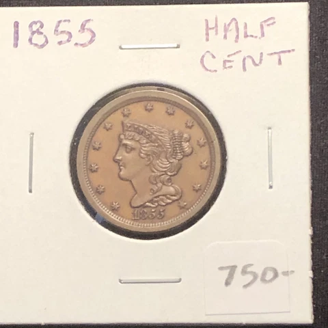 1855 braided hair half cent Lovely Honey Brown Gem Very Nice Eye Appeal Cover
