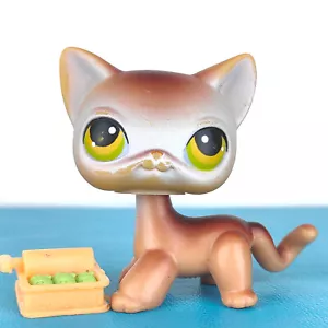 Original Littlest Pet Shop #19 Kurzhaarkatze / Original Hasbro LPS - Bild 1 von 4