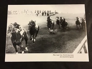 PHAR LAP Photo Horse Racing 1932 AGUA CALIENTE HANDICAP - Picture 1 of 1