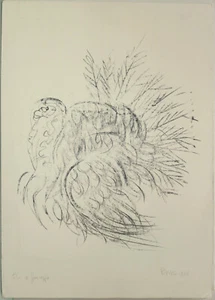 ISA PIZZONI litografia cm 50 x 70 firmata dedicata - no cascella faccincani baj - Bild 1 von 3