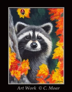 Waschbär Marienkäfer Herbst Wald Tierwelt ACEO Limited Edition Miniatur Kunstdruck - Bild 1 von 1