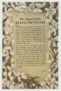 Dogwood, The Legend of the Dogwood. - Picture 1 of 2