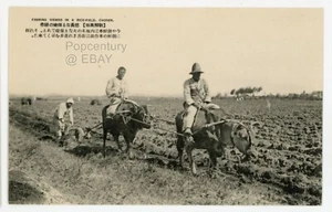 Foto de granja de campo de arroz elegido Heijo Keijō postal de Corea de colección de la década de 1920 - Imagen 1 de 2