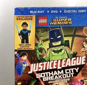 Lego Nightwing 30606 Blue Chest Symbol Batman II Super Heroes Minifigure & Movie