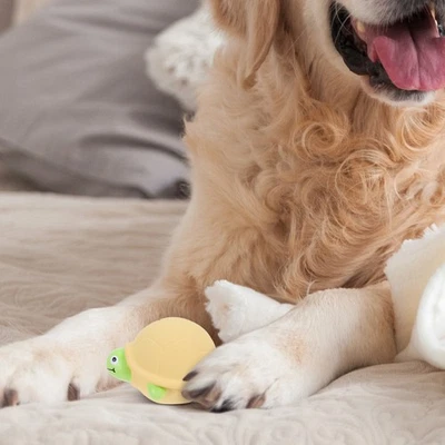  Giocattolo per cani tartaruga: giocattolo in lattice che squittisce - - Immagine 1 di 4