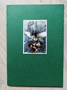 LOISEL - PETER PAN Univers BD - N+S - Picture 1 of 3