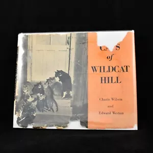 THE CATS OF WILDCAT HILL Edward Weston First Edition Unclipped Dust Jacket - Foto 1 di 17