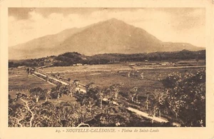 CPA NOUVELLE CALEDONIE PLAINE DE SAINT LOUIS - Picture 1 of 1