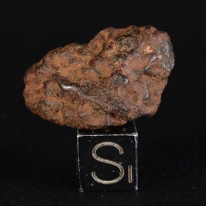 Meteorito Ferreusetype Iiab, Agoudal (Imilchil) Atlas Marruecos de 13,83 G - Imagen 1 de 10