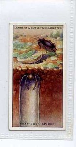 (Ja5633-100) Lambert & Butler,Wonders of Nature,Trap-Door Spider,1924#20