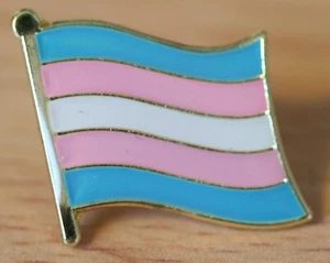 TRANSGENDER Flag Metal Lapel Pin Badge LGBTQ Trans Diversity Pride Equality - Picture 1 of 1