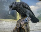 Raven Statue, Gothic Decor, Crow Statue, Bird Decoration