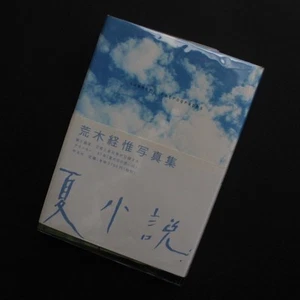 Nobuyoshi Araki Summer: Retrographs Photo Book Hardcover 1998 Heibonsha - Picture 1 of 8