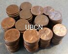 1981D Copper Lincoln Memorial Roll Of 50 Usa Penny Cent Coins