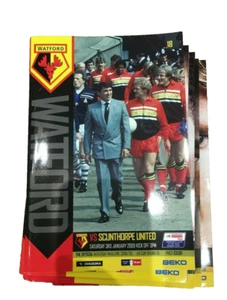 WATFORD V SCUNTHORPE UNITED - FA CUP RD 3 - 3/1/2009 - Picture 1 of 1