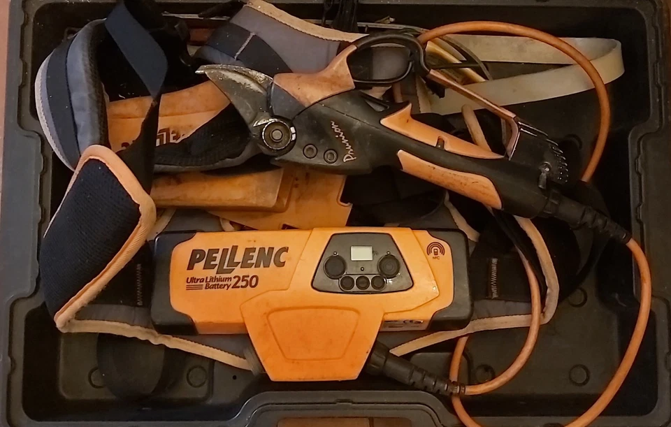 Forbice pellenc prunion 250 professionale da potatura. Usata poco, come nuova. - Immagine 1 di 1