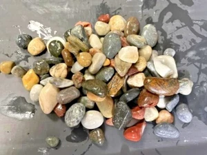 PREMIUM GLÄNZEND Aquarium Aquarium Naturkies Steine Substrat 7 - 15 mm  - Bild 1 von 1