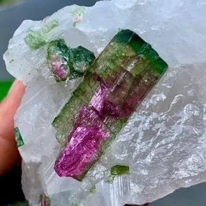 112GRare!Natural Two tone watermelon tourmaline crystal cluster mineral specimen - Picture 1 of 24