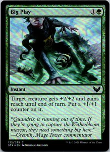 Big Play C Strixhaven: School of Mages 122 LP - Imagen 1 de 2