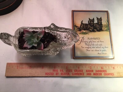 De colección 2 Scottish Dog Terriers - Placa Aimee Schramm y maceta transparente Foto 1 de 4