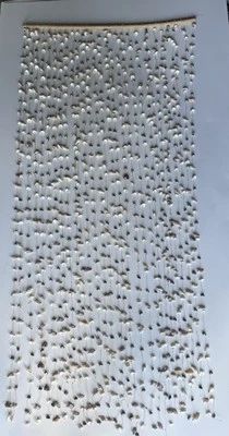 "Variedad única de colección concha marina cowry mar ventana de puerta grande con cuentas 75""" Foto 1 de 4