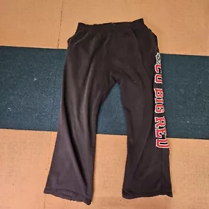 Damaged* Cornell University Big Red Adult Sweatpants Medium Black k5b - Picture 1 of 11