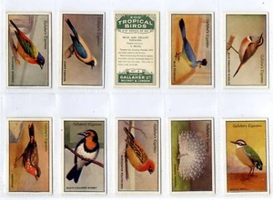 Full Set, Gallaher, Zoo Tropical Birds, 2nd Series 1929 EX (Gd2665) 50/50 - Picture 1 of 4