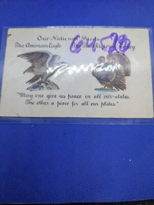 Lot von 3 patriotischen amerikanischen Vögeln Postkarten mit Weißkopfseeadler und Türkei - Bild 1 von 6