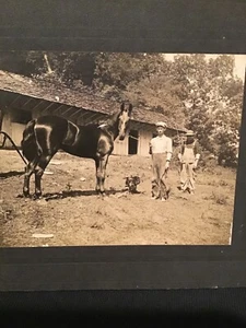 Antique photograph working men farm hands horse early 1900s names on back - Picture 1 of 4